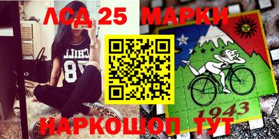 шишки Бузулук