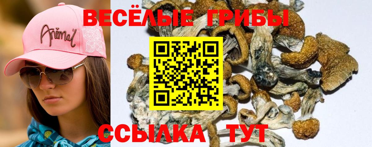 Невинномысск  Псилоцибиновые грибы мухоморы  Вход с VPN  Галлюциногенные грибы мицелий 